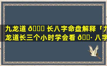 九龙道 🐕 长八字命盘解释「九龙道长三个小时学会看 🌷 八字」